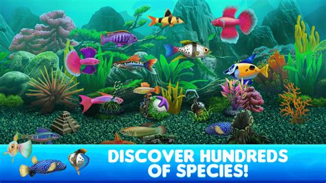 Fish Tycoon: Dive into the Deep End of Aquarium Management and Entrepreneurial Success!