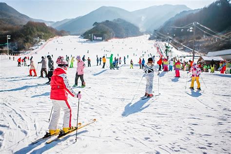 강원도 스키장, 겨울철의 낭만과 스릴을 동시에