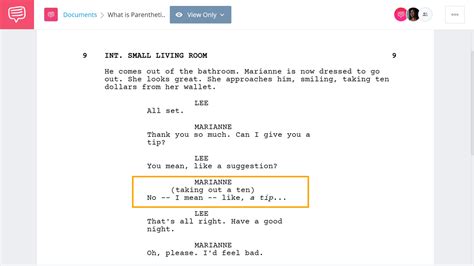 What is Parenthetical in Script Writing: A Dive into the Unseen Layers of Narrative Craft