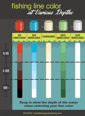 What Size Fluorocarbon Leader for 30lb Braid: Exploring the Depths of Fishing Line Dynamics