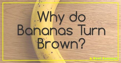 Why Was the Book Drama Banned? And Why Do Bananas Always Get the Spotlight in Fruit Salads?